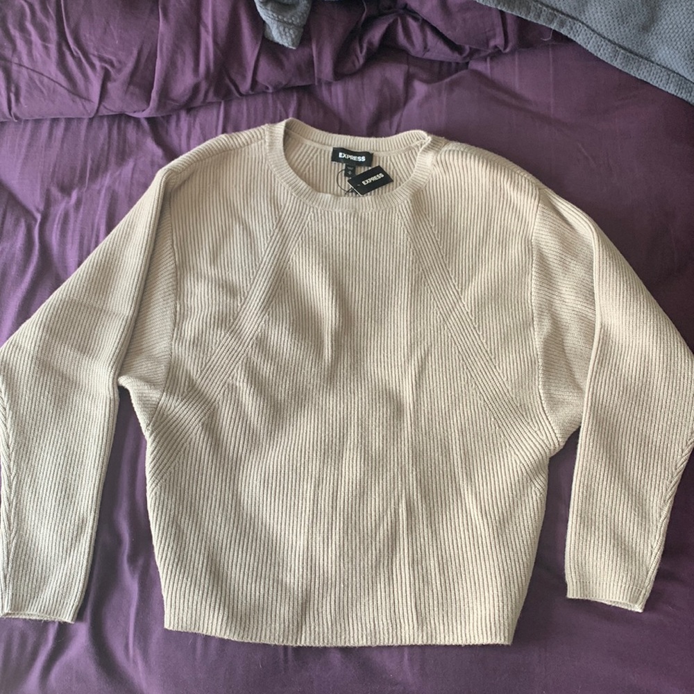Express ribbed sweater size M